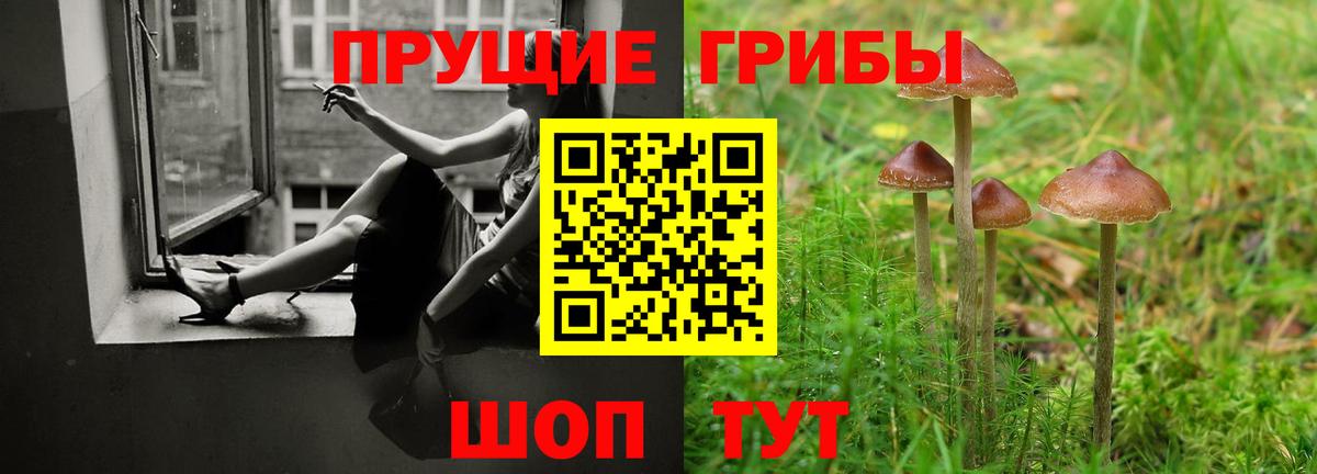 Псилоцибиновые грибы Magic Shrooms Ярославль