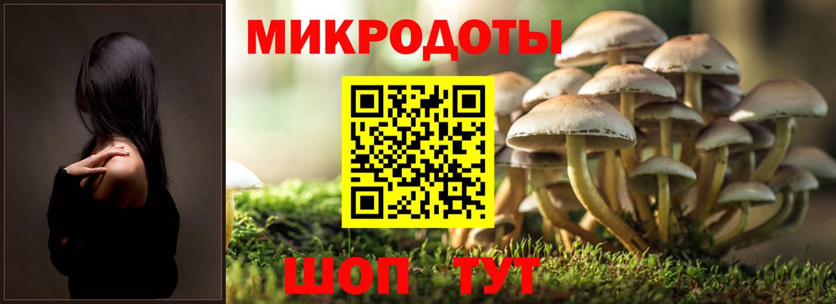 Ярославль  Псилоцибиновые грибы GOLDEN TEACHER  Вход с VPN  Галлюциногенные грибы MAGIC MUSHROOMS 